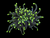 One head Neon Tip Torch