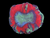 Multicolor open brain wysiwyg