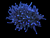 Blue tips torch