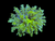 Neon with blue tips fragspwan
