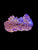 L Zoa colony 16