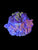 Zoa garden #23