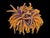 2 heads 24k gold torch