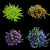 Fireworks torch pack