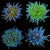 Nuclear Fusion Torch Pack