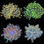Dynasty Garden Pack