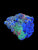 Mix zoa colony #15