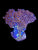 L Tricolor zoa colony #7