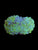 L yellow bubble coral wysiwyg