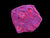 L frag red chalice wysiwyg