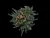 3 heads pink tip torch