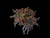 Aquaculture orange fragspwan