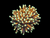 24k Gold torch
